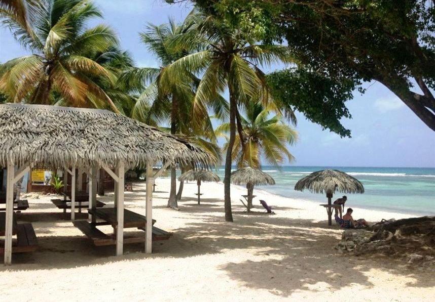 Le Ti'Paradise Anse Des Rochers Belle-Allée 外观 照片