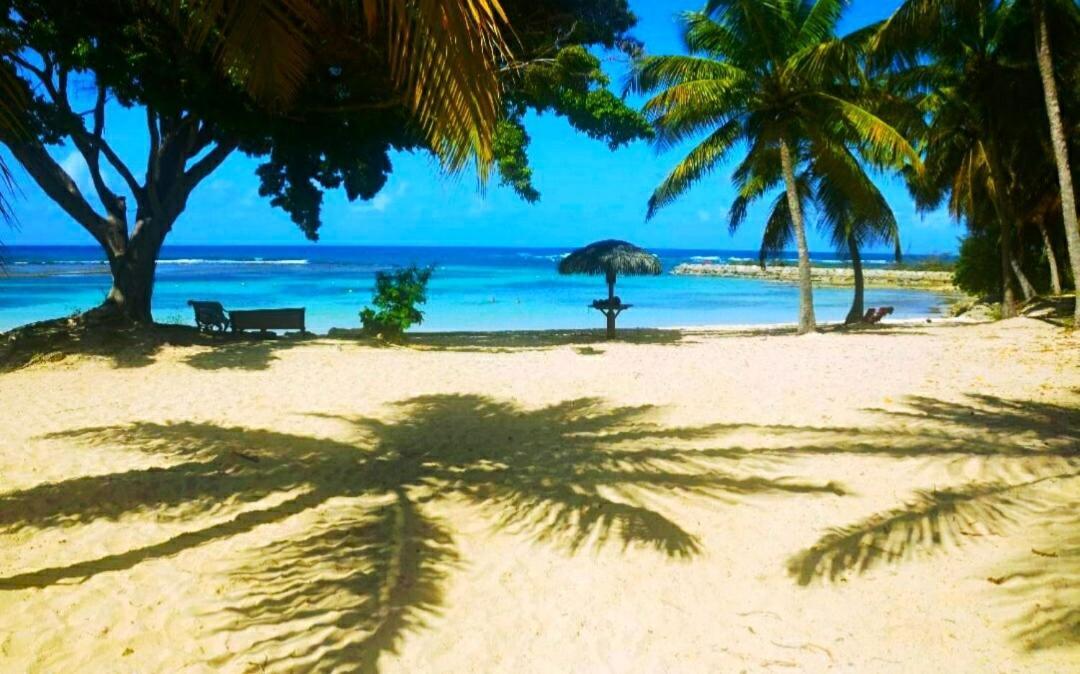 Le Ti'Paradise Anse Des Rochers Belle-Allée 外观 照片