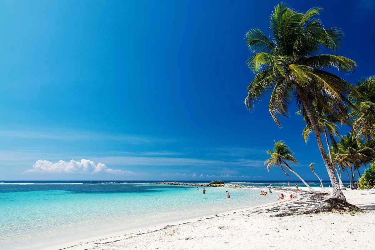 Le Ti'Paradise Anse Des Rochers Belle-Allée 外观 照片