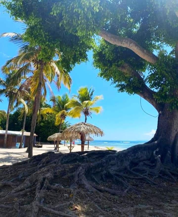 Le Ti'Paradise Anse Des Rochers Belle-Allée 外观 照片